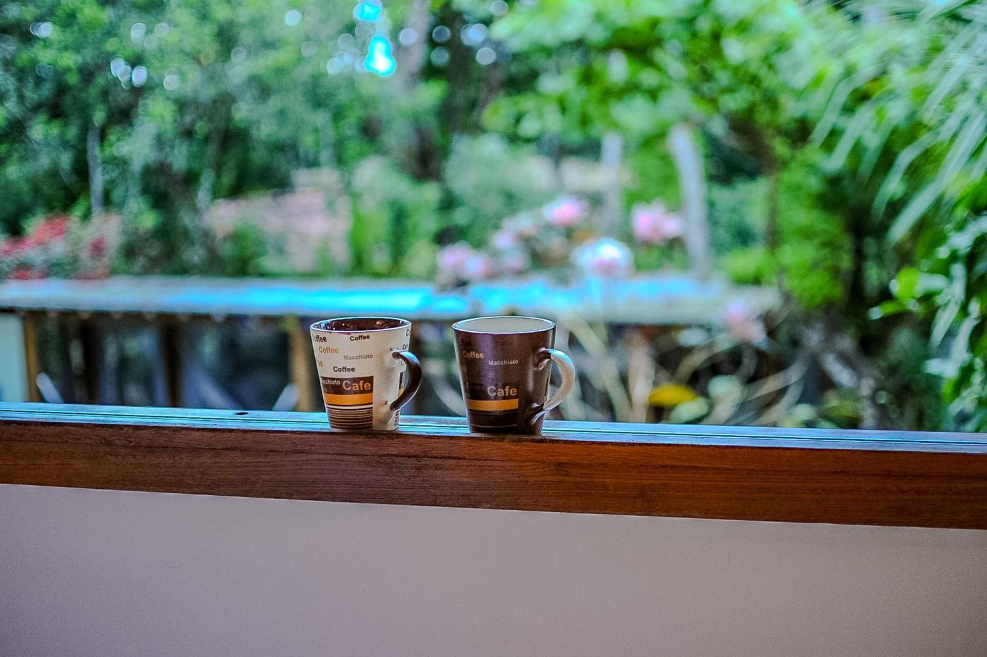 Casas Natureza Brasil 塞古罗港 外观 照片